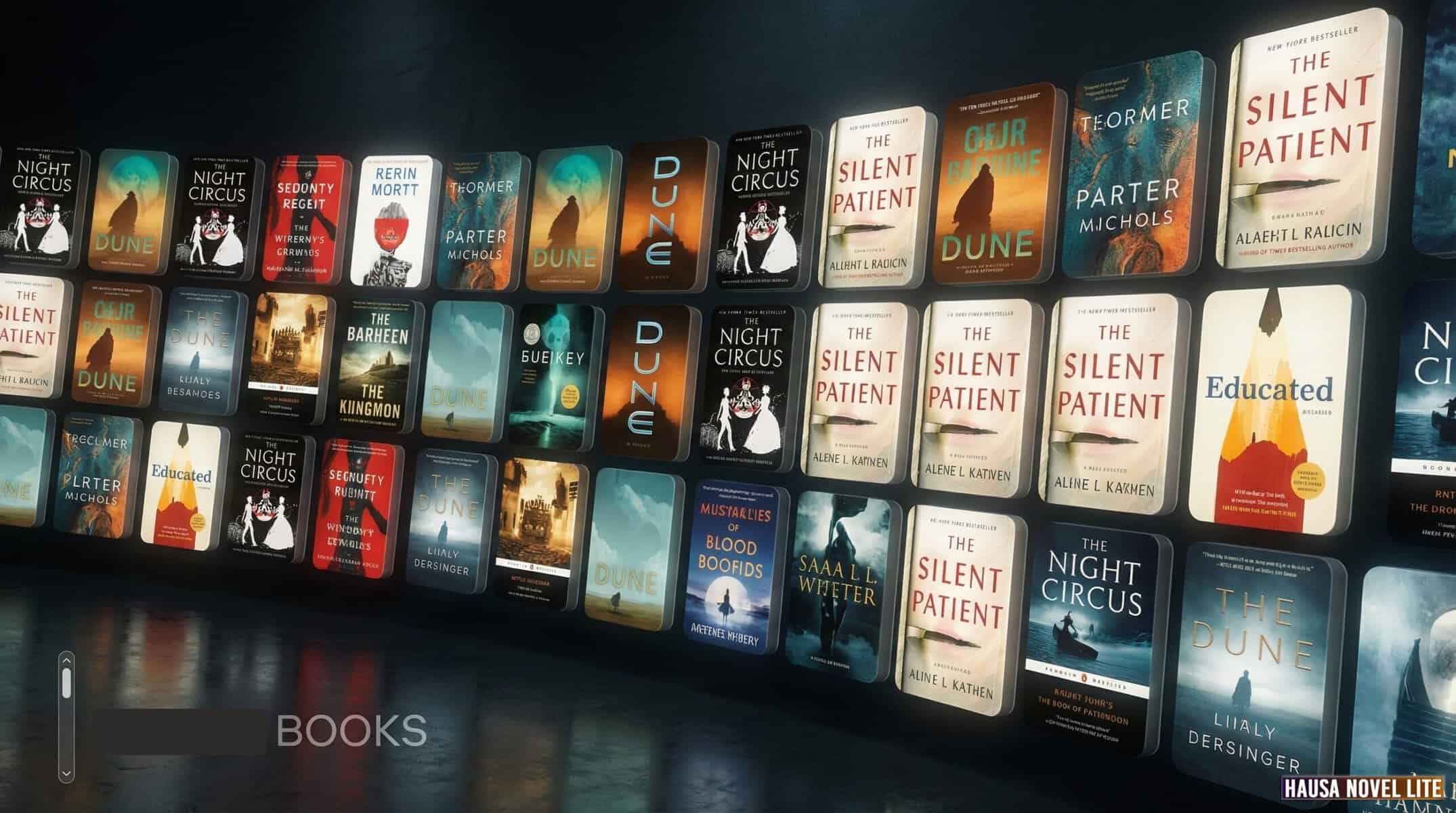 Screenshot of the Hausa Novel Lite WordPress website