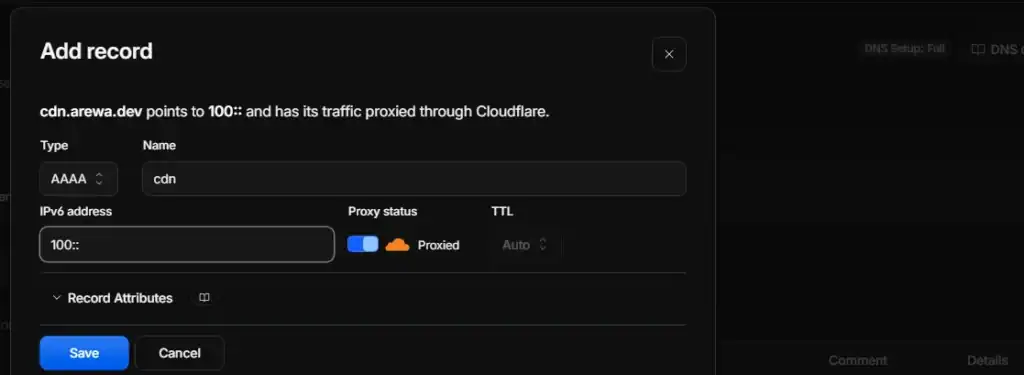 How to Connect Google Cloud Storage to WordPress with Arewa S3 Media Library 20 Check the DNS
