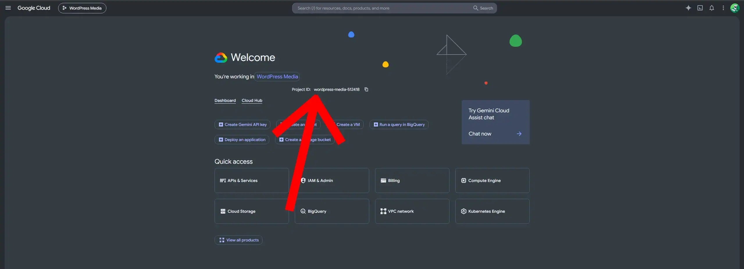 How to Connect Google Cloud Storage to WordPress with Arewa S3 Media Library 4 Find Your Project ID