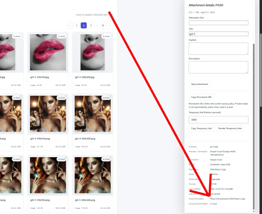 How to Connect Google Cloud Storage to WordPress with Arewa S3 Media Library 22 result